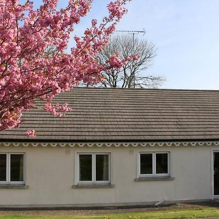 Sunny Bungalow Courtown Eksteriør bilde