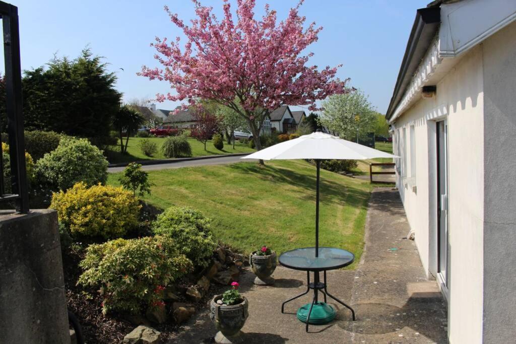 Sunny Bungalow Courtown Eksteriør bilde