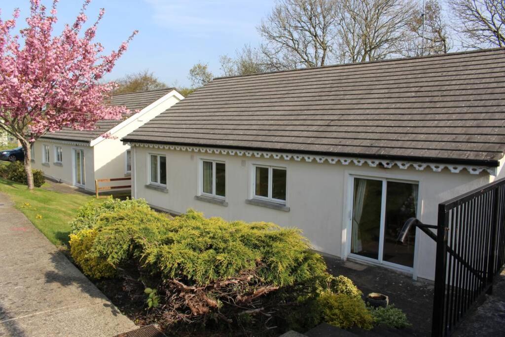 Sunny Bungalow Courtown Eksteriør bilde